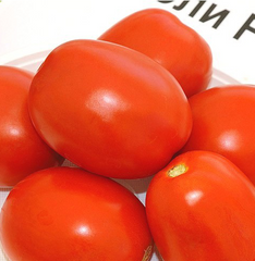 Чіблі F1 - насіння томата, 2500 шт, Syngenta 90141 фото