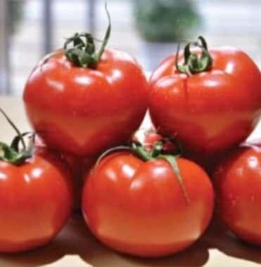 Беріл F1 - насіння томата, 100 шт, Rijk Zwaan 1090519426 фото