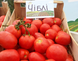 Чіблі F1 - насіння томата, 2500 шт, Syngenta 90141 фото 2