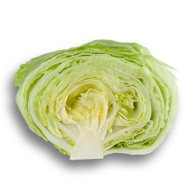 Ікебанас - насіння салату качанного, 5000 шт (драже), Rijk Zwaan 11271 фото