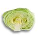 Ікебанас - насіння салату качанного, 1000 шт (драже), Rijk Zwaan 11261 фото 2