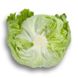 Ікебанас - насіння салату качанного, 1000 шт (драже), Rijk Zwaan 11261 фото 3