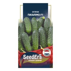 Пасалімо F1 - насіння огірка, 10 шт, Syngenta (SeedEra) 69814 фото