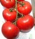 Дофу F1 - насіння томата, 1000 шт, Rijk Zwaan 87676 фото 4