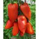 Корнабел F1 - насіння томата, 250 шт, Hazera 10490 фото 1