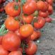 Дофу F1 - насіння томата, 1000 шт, Rijk Zwaan 87676 фото 3