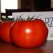 Дофу F1 - насіння томата, 1000 шт, Rijk Zwaan 87676 фото 1