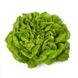 Аквіно - насіння салату, 5000 шт (драже), Rijk Zwaan 1095001711 фото 5
