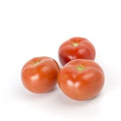 Зульфія F1 - насіння томата, 100 шт, Rijk Zwaan 06313 фото