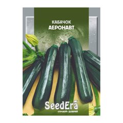 Аеронавт - насіння кабачка, SeedEra опис, фото, відгуки