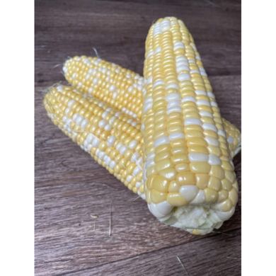 Дефендер F1 - насіння кукурудзи біколор, 25 000 шт, Spark Seeds 48385 фото