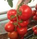 Зульфія F1 - насіння томата, 100 шт, Rijk Zwaan 06313 фото 2