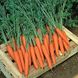 Престо F1 - насіння моркви, 100 000 шт (калібр.) 1.8-2.0, Hazera 58400 фото 1