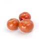 Зульфія F1 - насіння томата, 100 шт, Rijk Zwaan 06313 фото 1