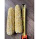 Дефендер F1 - насіння кукурудзи біколор, 2 500 шт, Spark Seeds 48384 фото 4