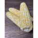 Дефендер F1 - насіння кукурудзи біколор, 2 500 шт, Spark Seeds 48384 фото 2