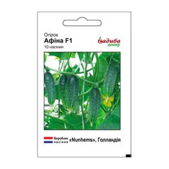 Афіна F1 - насіння огірка, Nunhems (Садиба Центр) опис, фото, відгуки