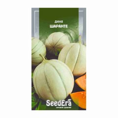Шаранте - семена дыни, SeedEra описание, фото, отзывы