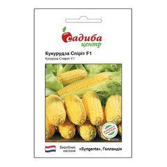 Спиріт F1 - насіння кукурудзи, Syngenta (Садиба Центр) опис, фото, відгуки