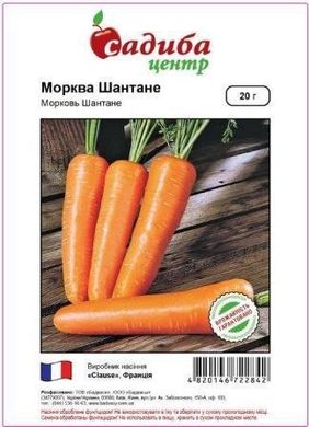 Шантане - насіння моркви, 20 г, Clause (Садиба Центр) 65916 фото