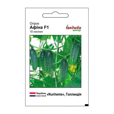 Афина F1 - семена огурца, 10 шт, Nunhems (Садыба Центр) 927869787 фото