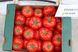 Оазис F1 - насіння томата, 250 шт, Clause 95961 фото 2