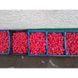 Марвел F1 - семена редиса, 50 000 шт, Spark Seeds 58001 фото 3