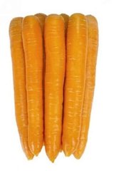 Морковь Джерада F1, 100 000 семян (1.8-2.0), Rijk Zwaan 83364 фото