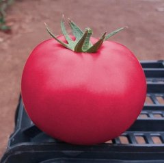 Пінк Кристал F1 - насіння томата, Clause опис, фото, відгуки