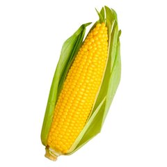 ГСС 3071 F1 - семена кукурузы, 100 000 шт, Syngenta 37301 фото