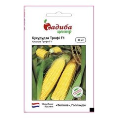 Трофі F1 - насіння кукурудзи, Seminis (Садиба Центр) опис, фото, відгуки