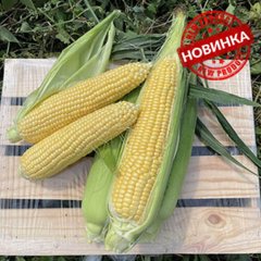 Світ Лакі F1 - насіння кукурудзи суперсолодкої, 2 500 шт, Spark Seeds 46501 фото
