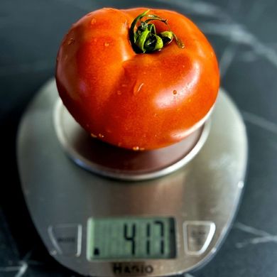 Томатіна F1 - насіння томату, 500 шт, Sakata 20511 фото