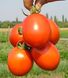 Форсаж F1 - насіння томата, 5000 шт, Clause 60837 фото 1