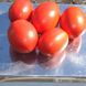 Форсаж F1 - насіння томата, 5000 шт, Clause 60837 фото 2