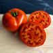 Томатіна F1 - насіння томату, 500 шт, Sakata 20511 фото 1