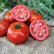 Томатіна F1 - насіння томату, 500 шт, Sakata 20511 фото 2