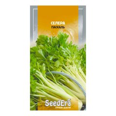 Паскаль - семена сельдерея, SeedEra описание, фото, отзывы