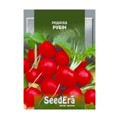 Рубін - насіння редиски, SeedEra опис, фото, відгуки