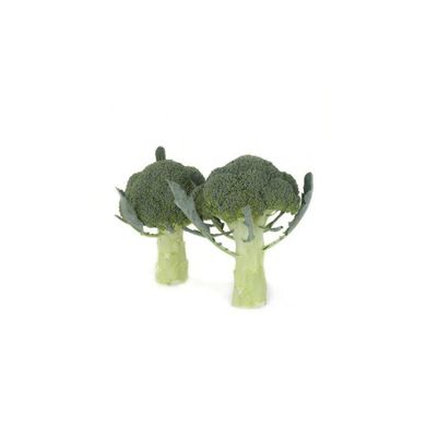 Орантес F1 - семена капусты брокколи, 1000 шт (калибр), Rijk Zwaan 90373 фото