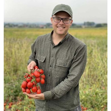 Квікфаєр F1 - насіння томата, 25 000 шт, Esasem 52098 фото