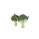 Орантес F1 - насіння капусти броколі, 1000 шт (калібр), Rijk Zwaan 90373 фото 2