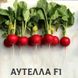 Аутелла F1 - насіння редиски, 50 000 шт (3.20-3.40), Hazera 81900 фото 1