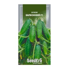 Балконный F1 - семена огурца, SeedEra описание, фото, отзывы