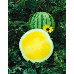 Йеллоу Батеркап F1 - семена арбуза, 1000 шт, Sakata 60938 фото