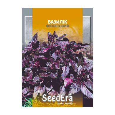 Фіолетовий - насіння базиліка, SeedEra опис, фото, відгуки