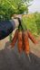 1932 F1 - насіння моркви, 250 000 шт (1.8-2.0), Spark Seeds 47700 фото 2