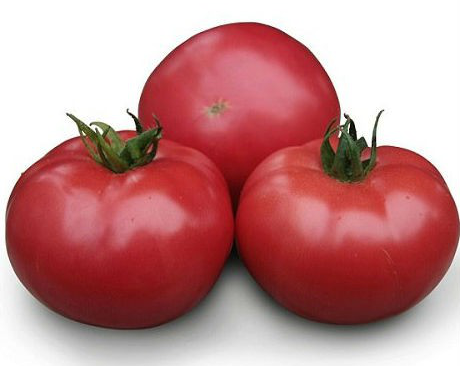 Асано F1 (КС 38 F1) - насіння томата, 1000 шт, Kitano 50331 фото