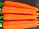 СВ 7381 F1 - насіння моркви, 1 000 000 шт (1.6-1.8), Seminis 1085378852 фото 2