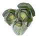 Флексима F1 - семена капусты белокочанной, 1000 шт, Rijk Zwaan 35247 фото 3
